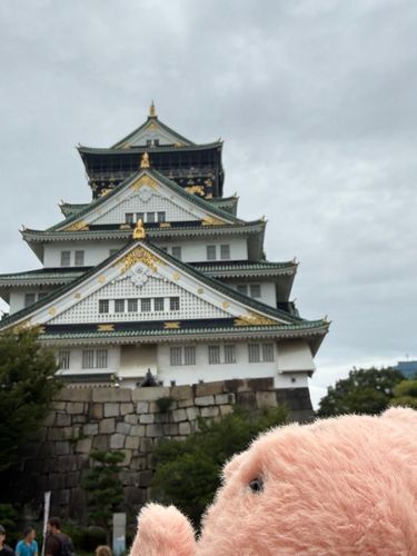 ついでに大阪城にも行ったやわらかいかに