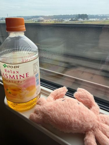 おでかけするやわらかいかに