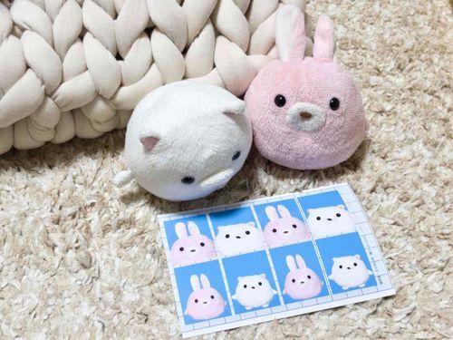 こんにちは
うさぎのぴんくちゃんと
しろくまのまるちゃんです
最近証明写真を作りました
X@PINKchanLIFE