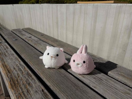 日向ぼっこ！！！