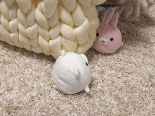 お留守番