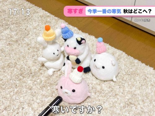 インタビューの様子