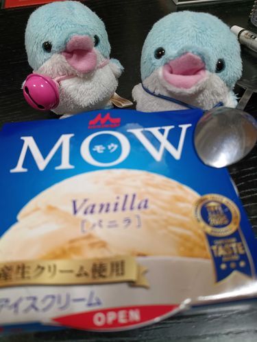 アイス欲しいの？