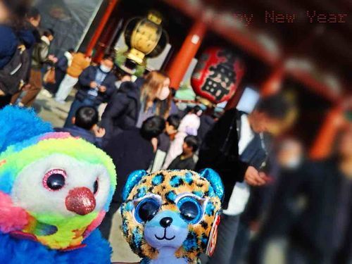 遠くに住んでる友達に会ってきた🌈げんき？おまめも！！