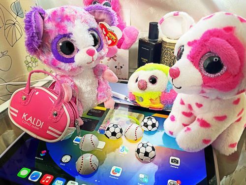 カッコイイピンクの鞄🧳！
いつもおまめたちのカメラマンをしている大きい彼の、シゴトナカマさんがくれたんだって！🩷🩷🩷

あれ？これボール？落としたよ！
