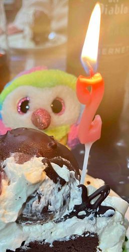 おまめは200歳！🎂