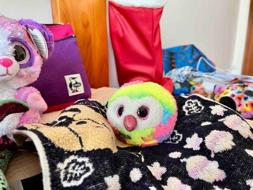 ベットが広々な部屋にお引越し！
靴下も下げていつでもサンタ大歓迎！

だんだん暑いのにも慣れてきたよ。そろそろおまめはアイスが食べたい気分なんだ......