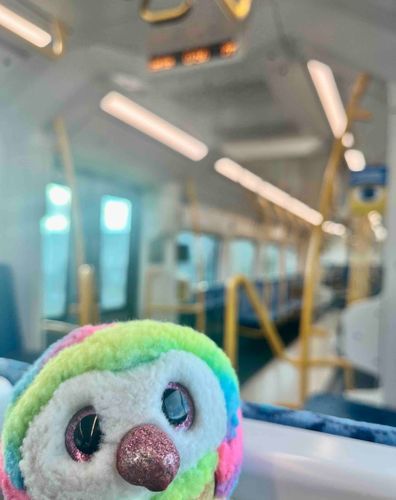 電車に乗ったのなんていつぶりだろう！大都会に来ちゃった〜