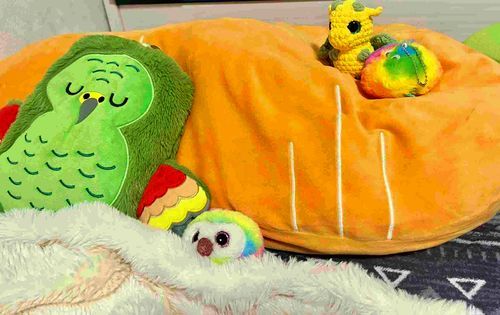 みんな久しぶり〜...
おまめ、雪遊びはしゃぎすぎて...気付いたら真っ白のカチコチになっちゃってたよ......🥶

あったかい部屋でリョーヨー中！！😷