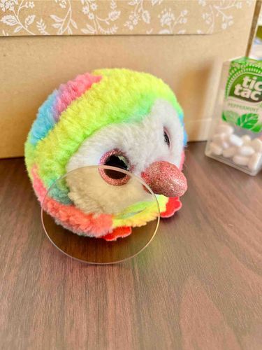 相棒が“レンズ”直してもらったって〜。
古い方、おまめがもらうよ！ｼﾞｯ...👀