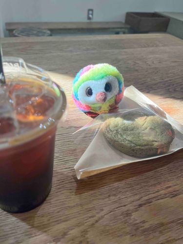 今日のコーヒーはアイスだよ🍪
暖かい日差しとおまめ！