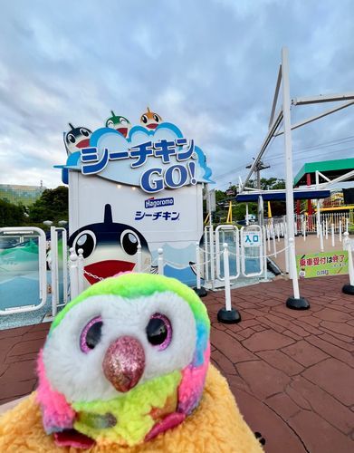 GO!!


ポケモンたちに会いに行った帰りに撮った写真だよ、GO!