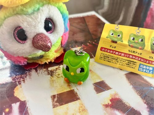 デュオ先輩はおまめの憧れの鳥の一羽🦜
おまめもデュオ先輩みたいに、博識で自己アピールの強い鳥になりたいんだ〜！