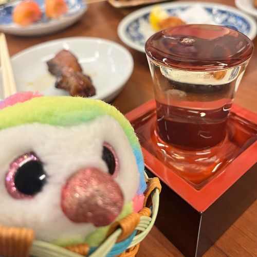 最近おまめ、飲んでばかりいるって？？？
そんなことないよ🙄