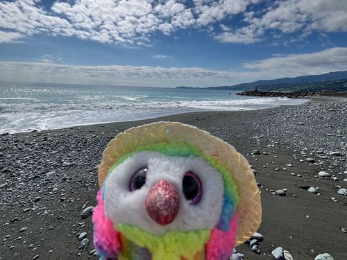ｻﾊﾟｰｰｯ🌊海に、きたよーーー！！
