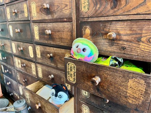 薬屋さんがヒキダシに入って良いよ〜って言ってくれたよ！😆
おまめはここがお気に入り〜