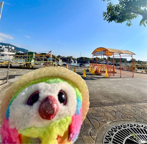 皆おはよ〜！おまめは船を待ってるよ🚢

限定島スイーツ、早く食べたいなぁ