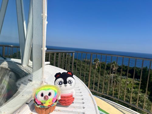 金魚ちゃんと灯台に登ったよ！
でも気を付けて！トンビがおまめたちのこと見てる！🦅