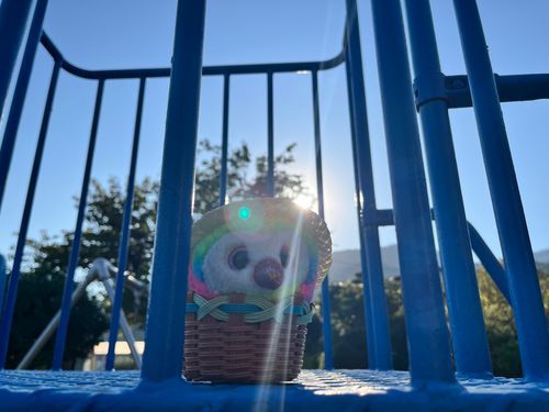 今日も楽しかったねぇ
ちょっとすずしくなってきた