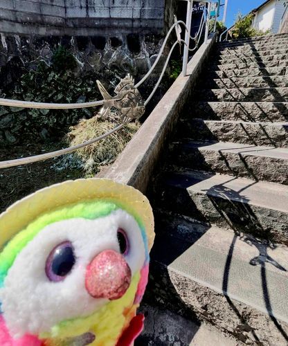 みて！階段に魚が🐟