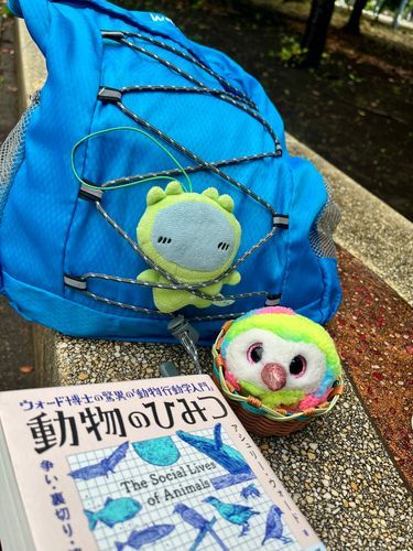 涼しくなったから散歩がてら読書の秋するよ！
みどり、その場所ハンモックみたいでいいね👍それじゃあ、ひみつの話読んでいくよ......