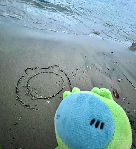 👥