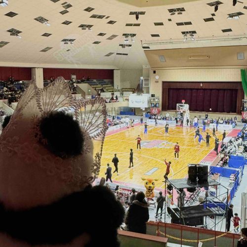 今日はバスケの試合を観てきたよー！🏀
はらはらどきどきで楽しかった！🌈
一点差で勝てたよ〜🏅✌️