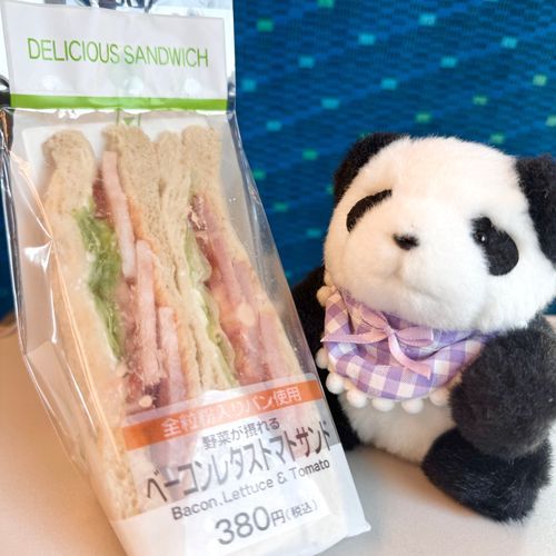 今日は主の用事のつきそいで新幹線に乗ったよ🚄
新幹線で食べるといつもよりおいしく感じるのはなんでなんだろうね？🐼🥪
主は久々に買ったサンドイッチがバカ高くて手にとってびっくりしてたけど、パンちゃんには関係ないんだ〜💸🍃