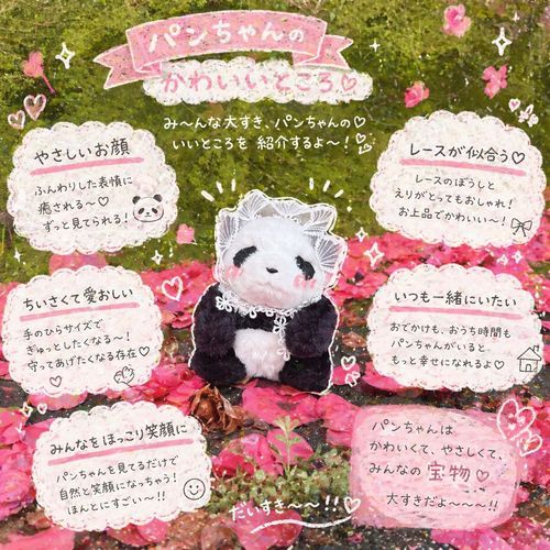パンちゃんも流行りに乗ってみたよ🎀
めちゃくちゃかわいいって主が大喜びしてたんだ〜！
パンちゃんもうれしいなーっ🍀🌟