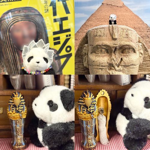 古代エジプト展に行ってきたよ🏺
何千年も前のものを見る機会なんてないから
新鮮でおもしろかったんだー！🌟

主がおともだちを連れてきてくれたんだけど
なんか中に干からびた人？が入ってたよ〜😭
これから仲良くできるのかな…⚰️

(人間さん判定で泣く泣くのモザイクだよ🥲)