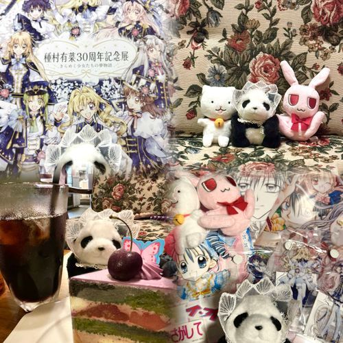 今日は種村有菜30周年記念展に行ってきたよ〜🌕
漫画の原画が展示されていたんだけど
凄すぎてずっと本当に原画なのか疑ってたんだ😵‍💫
新しいおともだちもできたし
楽しい一日だったよ〜🍀🌈🌟
主はとにかく懐かしすぎたんだってさ〜