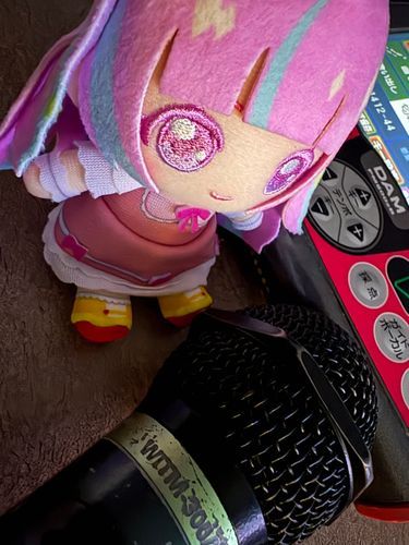 カラオケに来ました！