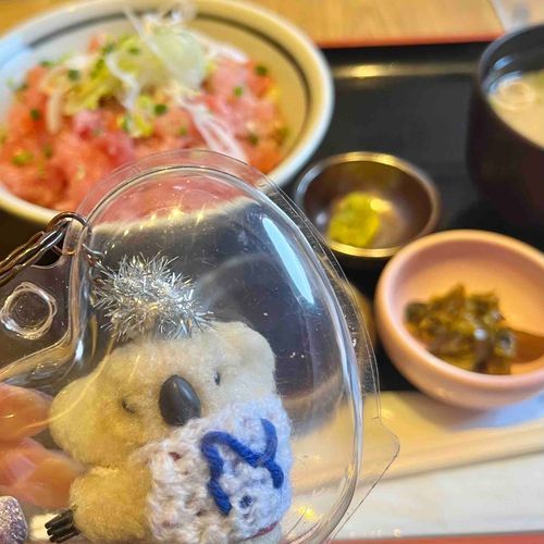かぞくが、いちばで、まぐろの、「なかおち」ていしょくを、たべた🐨❤️😱