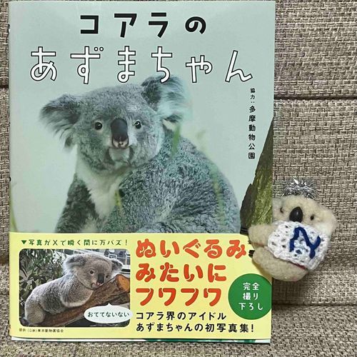 なげにとって、あこがれの、こあらさんの、しゃしんしゅうがでたので、かぞくが、かいました🐨😍とても、かわいくて、なげの、あこがれは、ますます、おおきくなりましたよ🐨❤️なげにすこし、かおが、にている🐨‼️❗️❓