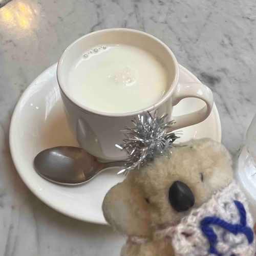 なげのかぞくが、ほとみるく、のんだ🐨‼️😍