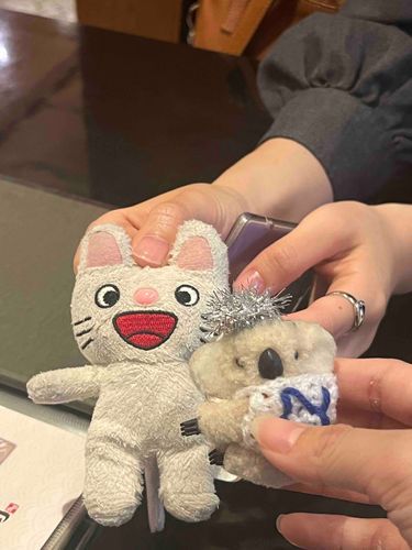 おともだみの、のんたんに、あいましたよ🐨❤️かぞくと、のんたんのかぞくが、おすしをたべました🐨❣️