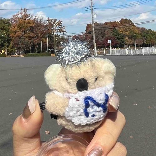 なげは、おこっているように、みえますか🐨❓