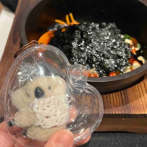 なげの、かぞくは、びびんばを、たべた🐨❗️