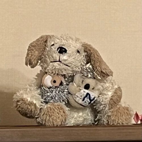 ふわぼこのみんな‼️にゅーすですよ🐨‼️まえのあかうんと、ふっかつを、しましたよ🐨‼️こちらでとうこうをさいかい、したいとおもいまーす🐨😁なげぴ、なげぴょろになまえを、こうしんを、させてもらいまーす🐨💗