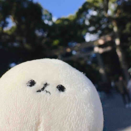 初詣に行ってきたよ⛩