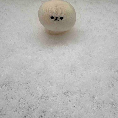 雪が積もって外に出したら冷たすぎたせいか虚無…❄️
ゆきだるまになれるかなぁ⛄️