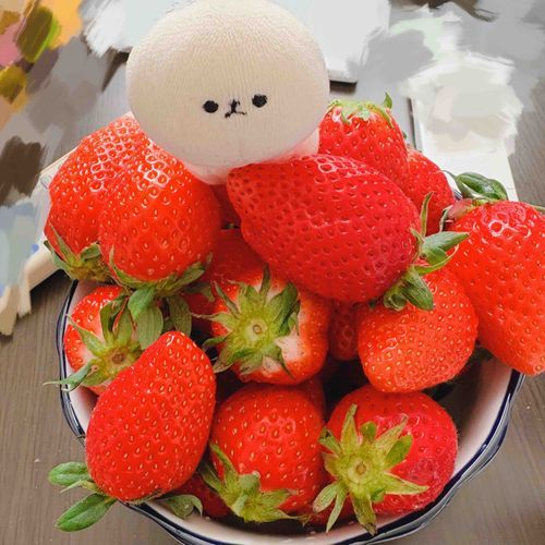 いちごいっぱいだね🍓 ̖́-‬