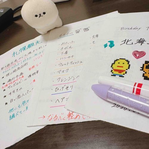 旅行が楽しみだね*⋆✈︎
