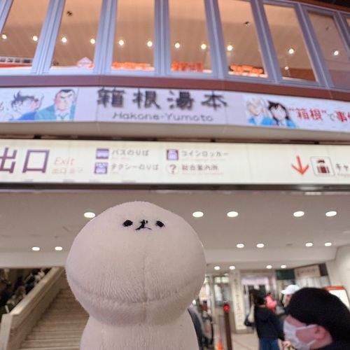 つんつるてんはじめての旅行だね♨️
