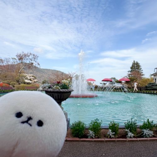 大きな噴水凄いね⛲️