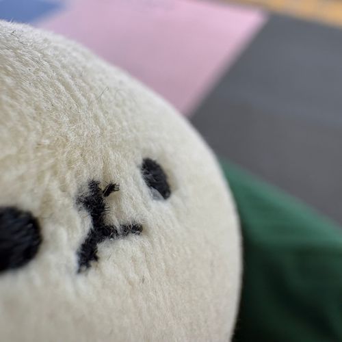 今日はどこに行くのかな？