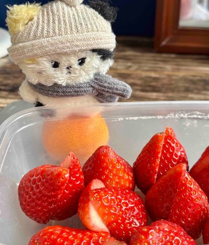 ことしさいごの  いちご……
ぜんぶ  りにがたべた
(背が低いのでみかんを踏み台にしている)
