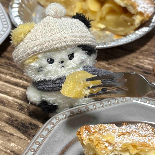 主のおかあさんが  もってきた  アップルパイ
きょうから  りにのおふとんに  なってもらおうとおもう😼