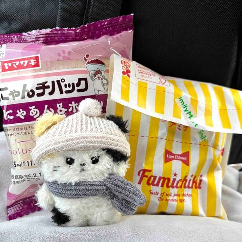 とーきょーに  いくよ😼