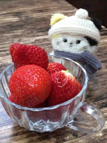 ひさしぶりの  いちごˆ⩌⩊⩌ˆ